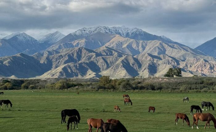 Kyrgyz Wonders Travel Kyrgyzstan Tour
