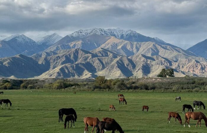 Kyrgyz Wonders Travel Kyrgyzstan Tour