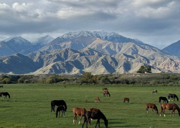 Kyrgyz Wonders Travel Kyrgyzstan Tour