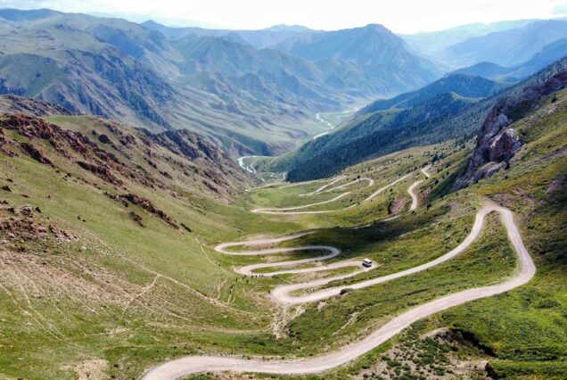 Alpine flowers blooming in the Song-Kol pastures Kyrgyz Wonders Kyrgyzstan