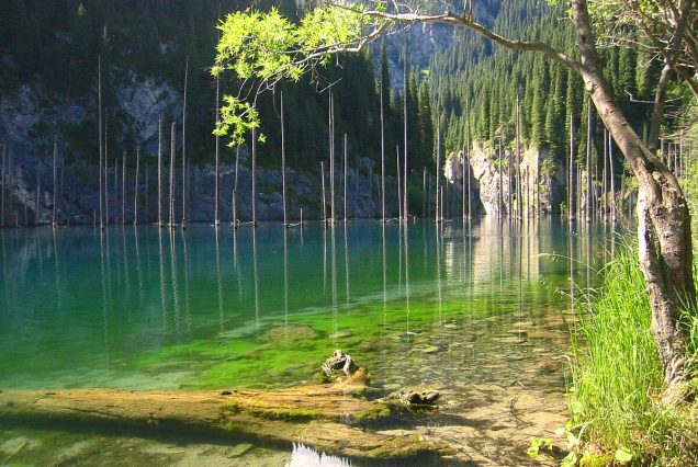 A picturesque alpine lake with a submerged forest in Kazakhstan.