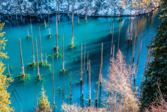 A picturesque alpine lake with a submerged forest in Kazakhstan.