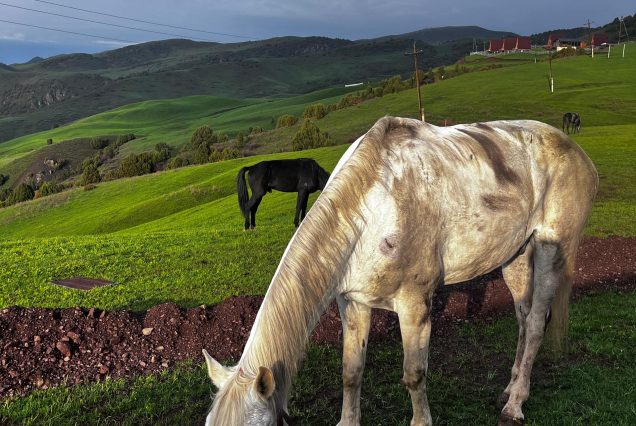 Kyrgyz Wonders Kyrgyzstan