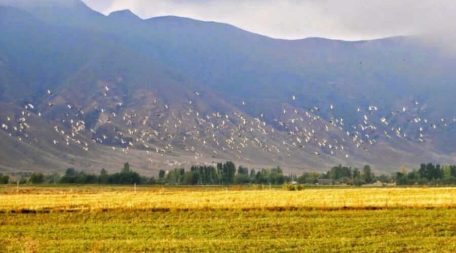 Bokonbaevo Kyrgyz Wonders Travel Kyrgyzstan Tour