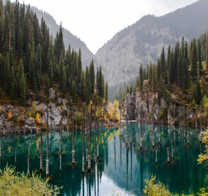 Kaindy Kyrgyz Wonders Travel Kyrgyzstan Tour