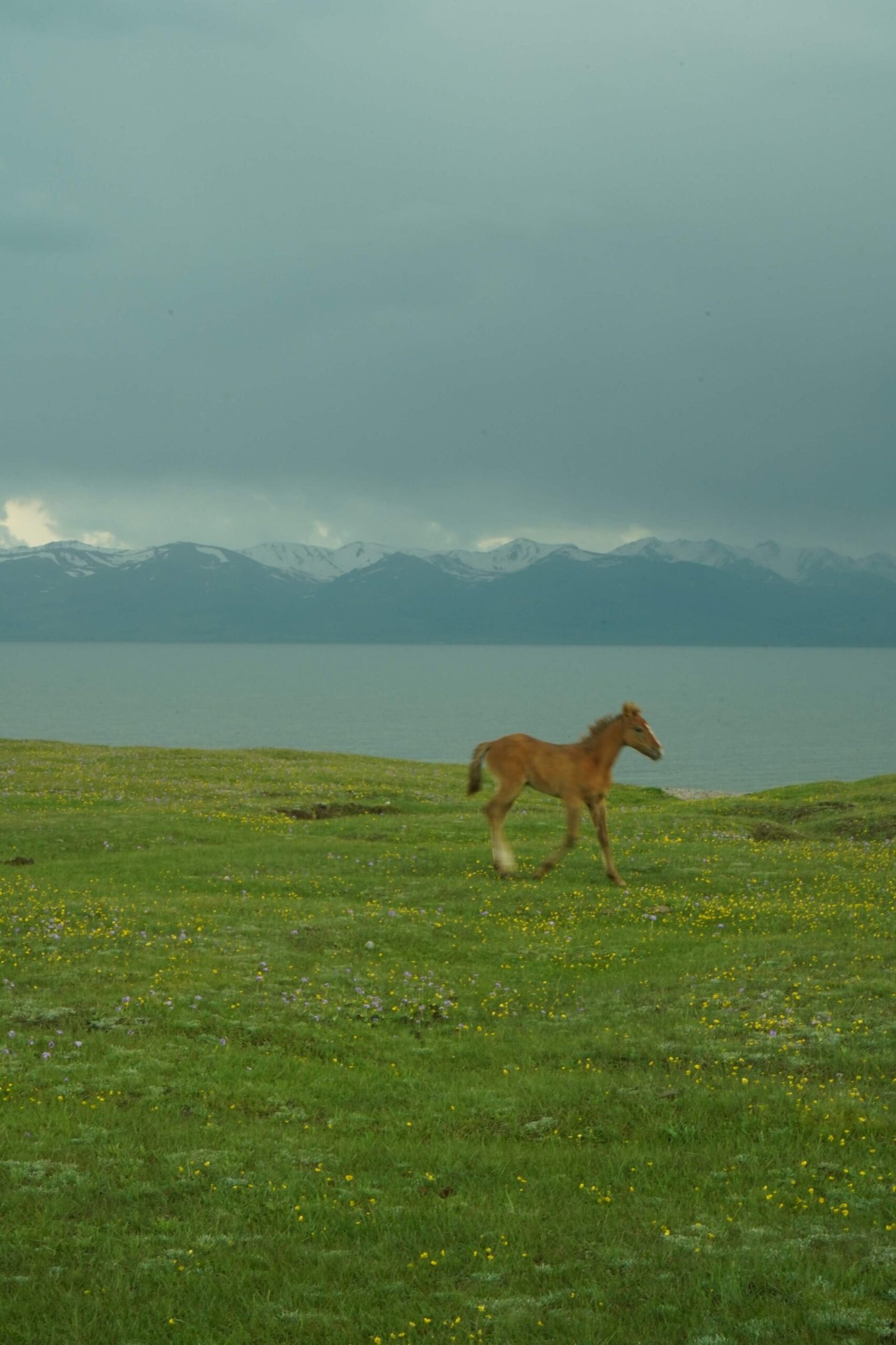 Grand Kyrgyzstan Expedition – 9 Day