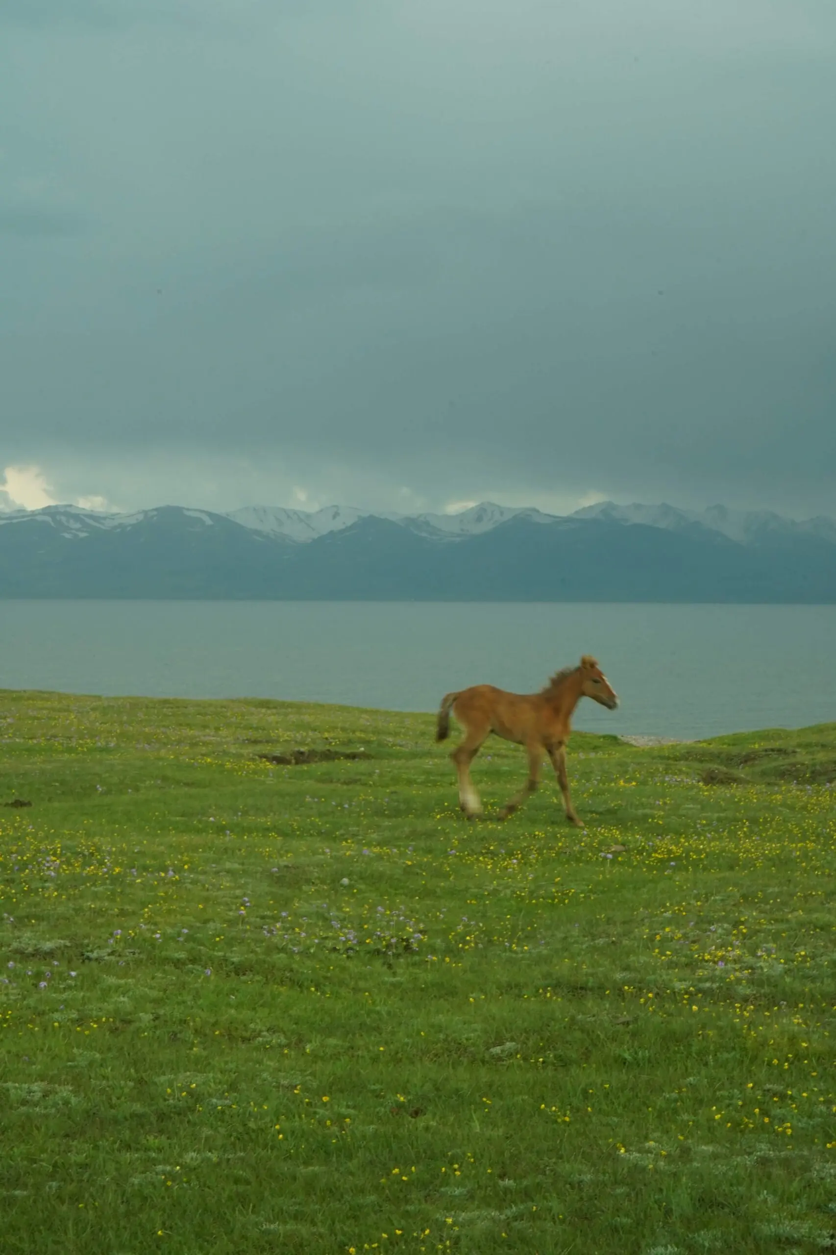 Grand Kyrgyzstan Expedition – 9 Day