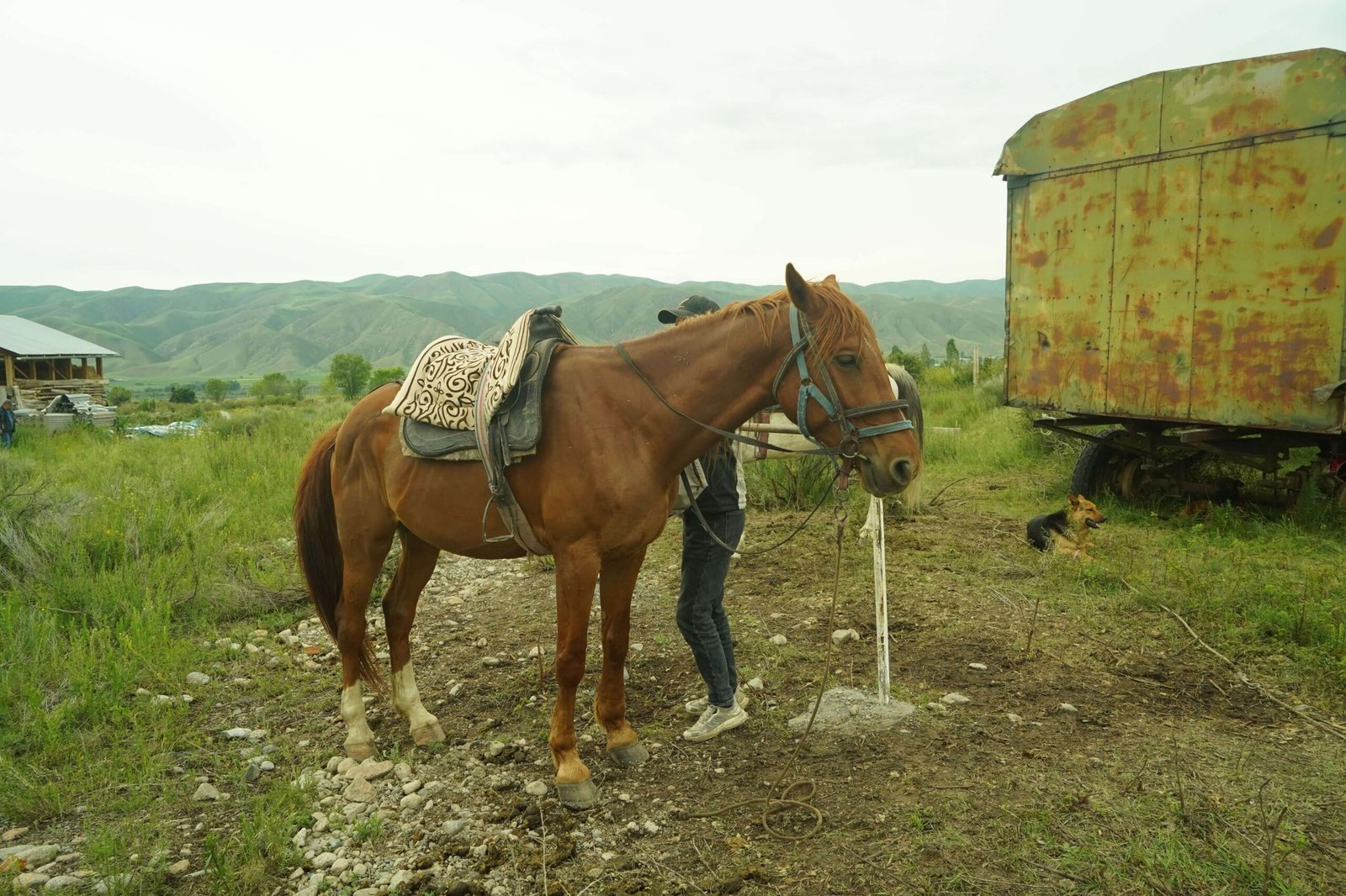 Grand Kyrgyzstan Expedition – 9 Day photo 2
