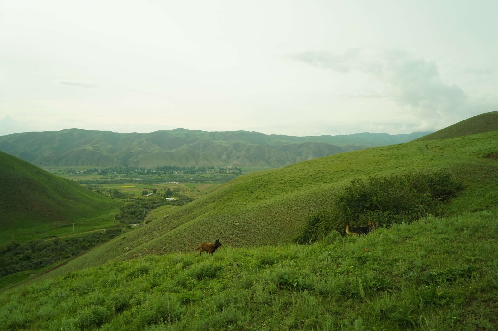 Grand Kyrgyzstan Expedition – 9 Day photo 3