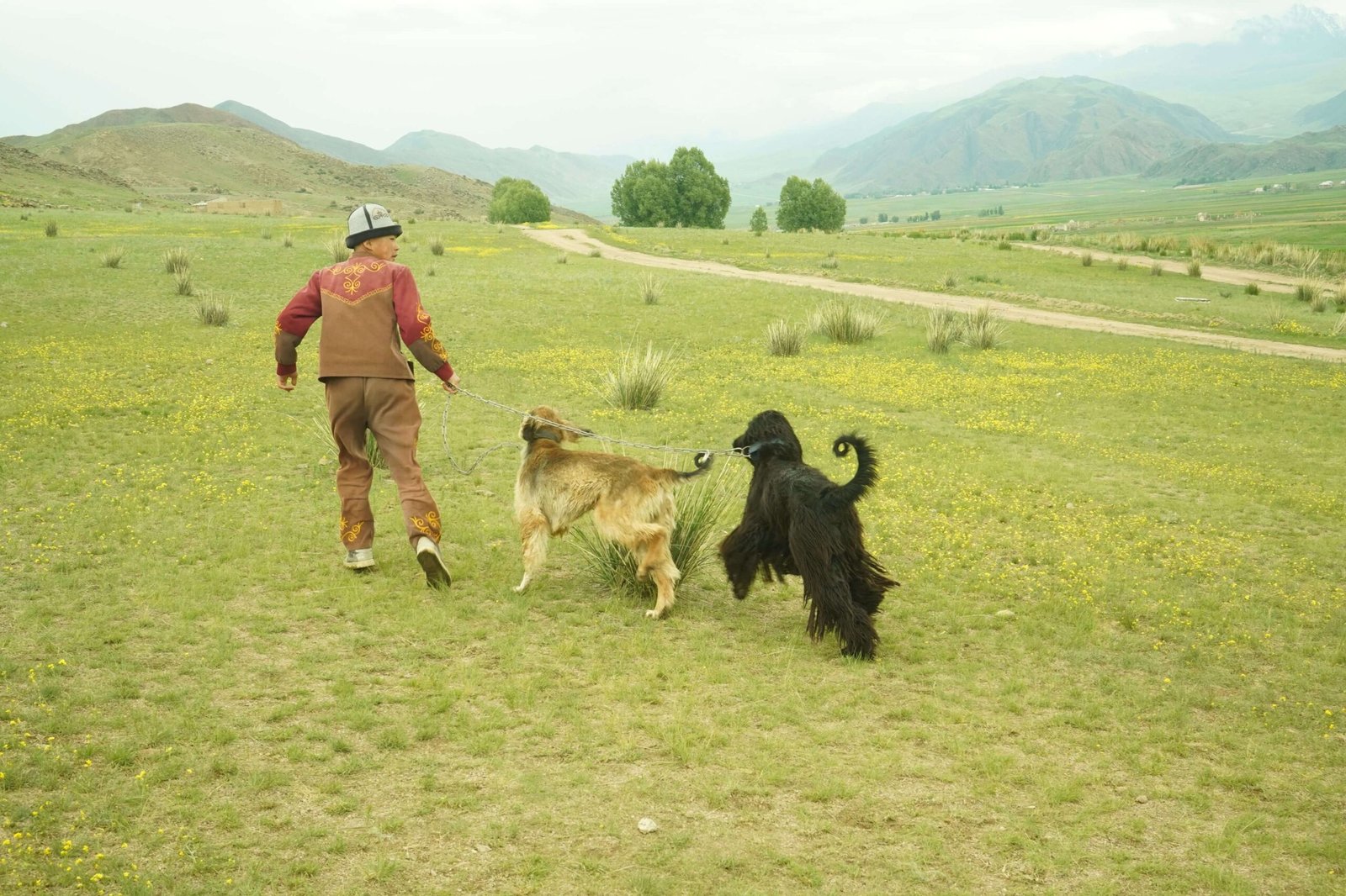 Nomadic Kyrgyzstan 6 Day Tours photo 1