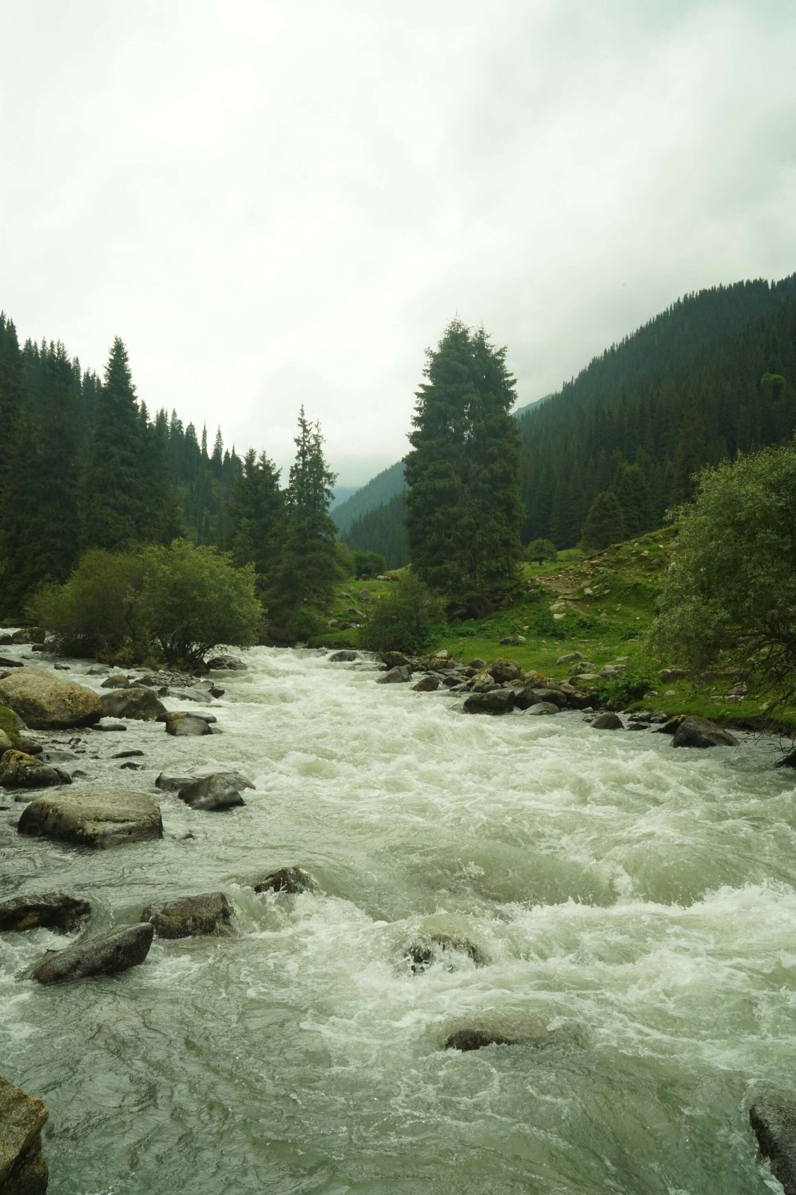 Nomadic Kyrgyzstan – 8 Days photo 3