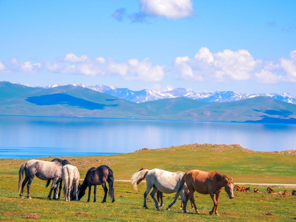 Song-Kol Lake photo 10