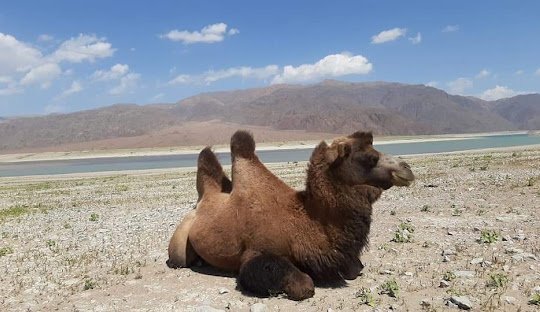Orto-Tokoy Reservoir photo 7