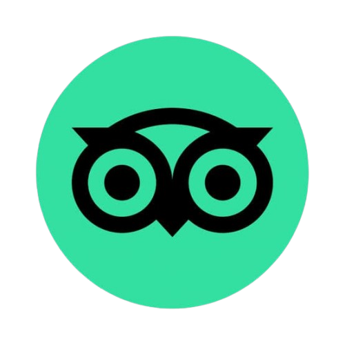 Tripadvisor Reviews