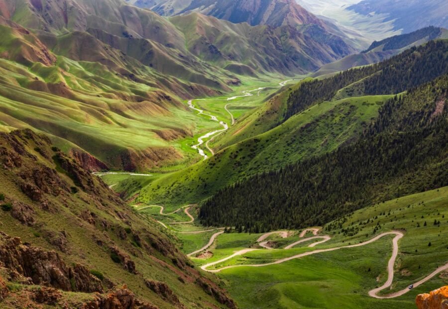 33 Parrots Pass (Teskey-Torpok Pass)